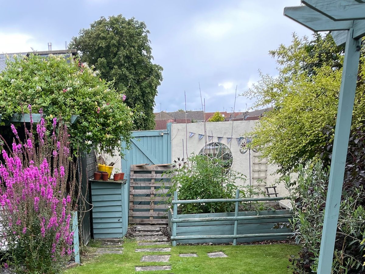 The bottom of the garden before the build, with flowering shrubs and an old fence